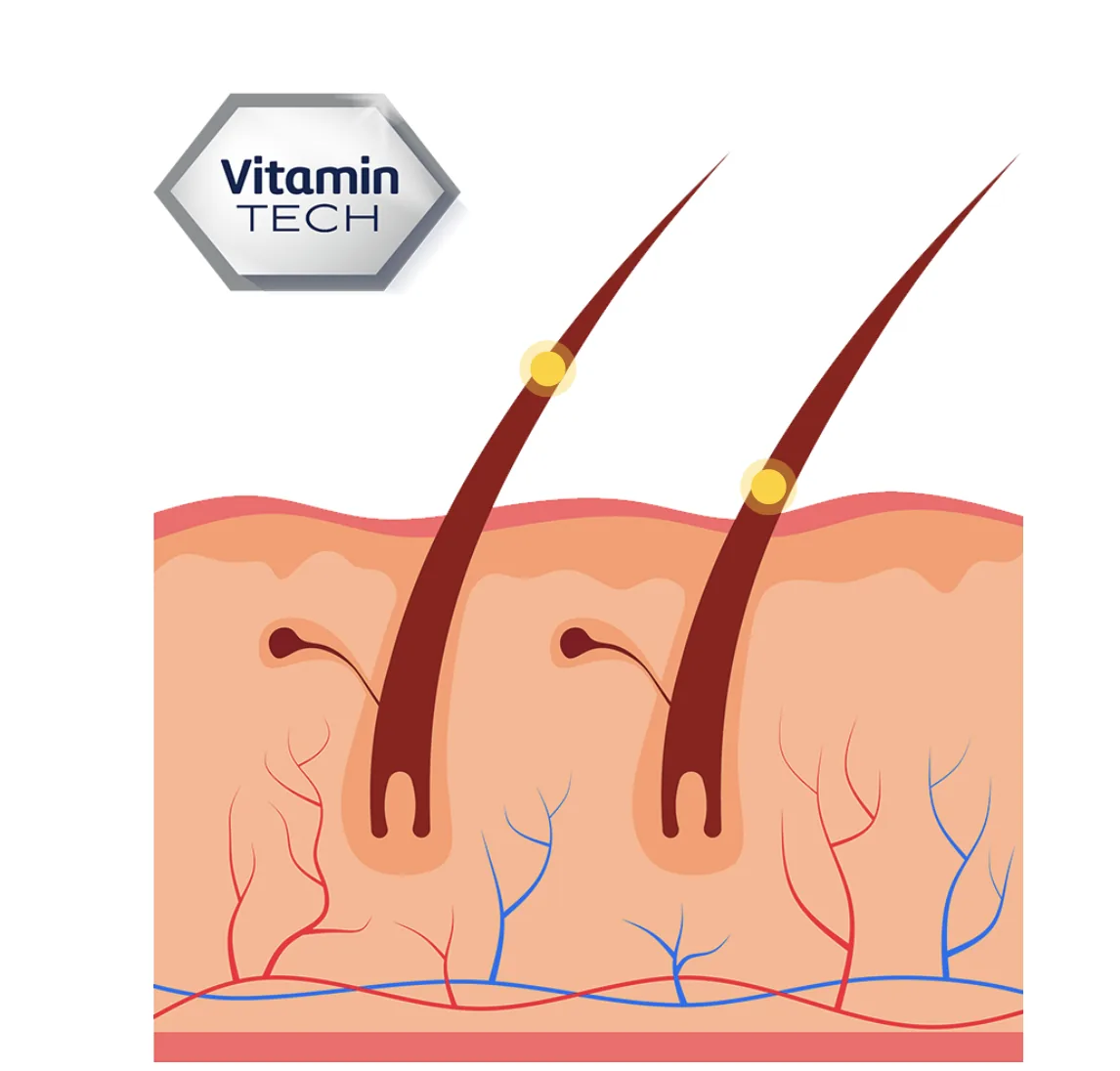 Vitamin Tech — hair and scalp